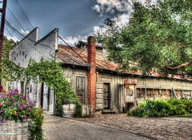 DSC_3864_5_6_7_8