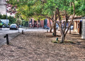 DSC_3994_5_6_7_8